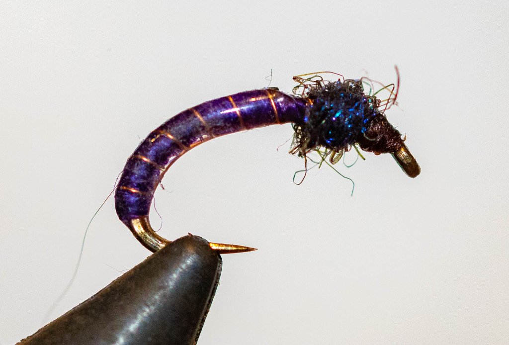 Rising Midge Pupa