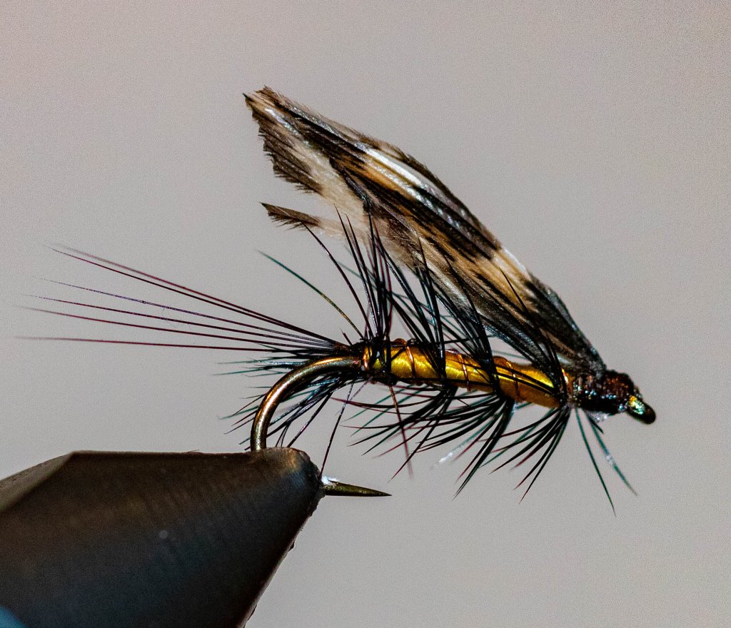 SpeckledYellow