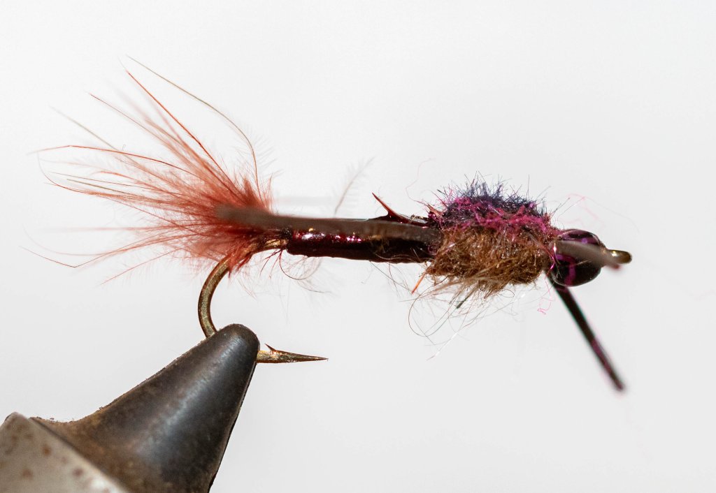 DamNymph