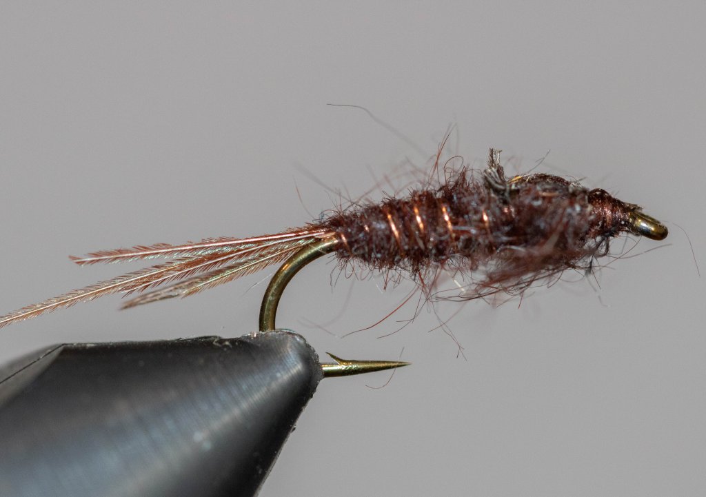 Pheasant Tail