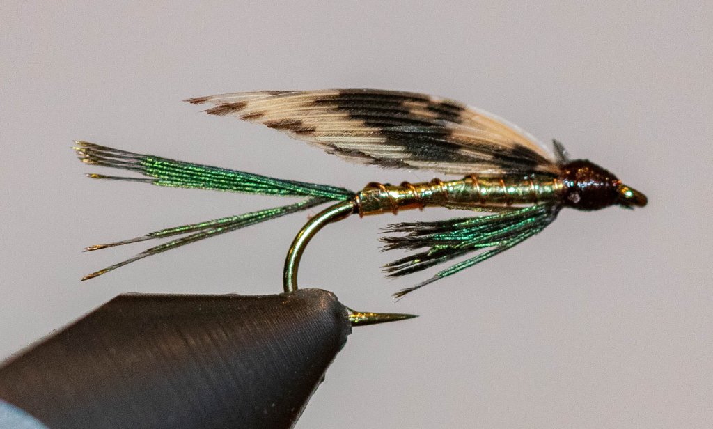 SpeckledSleek
