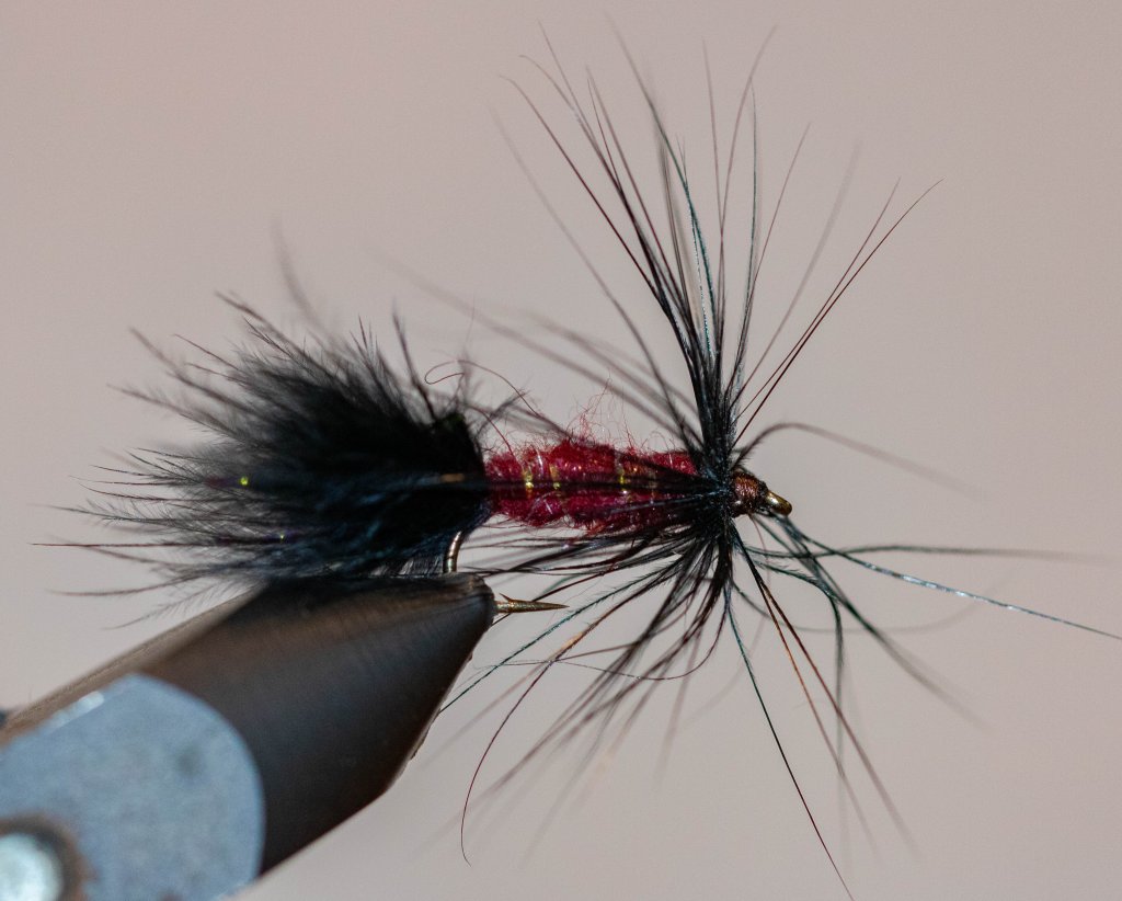 DamNymph