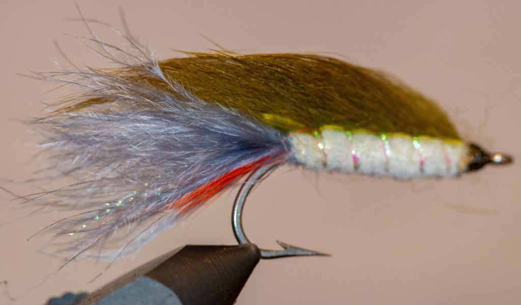 Smelt