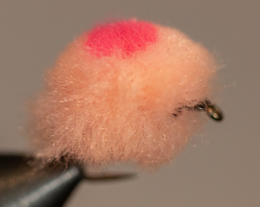 Trout Roe